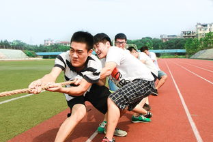 星空体育官方入口-体育新闻中心联合高校开展体育内容创新创业竞赛,学校体育创新项目