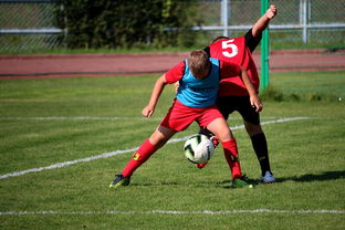 星空app官方下载-CBA俱乐部深化教练团队专业化建设提升训练质量,cba训练计划